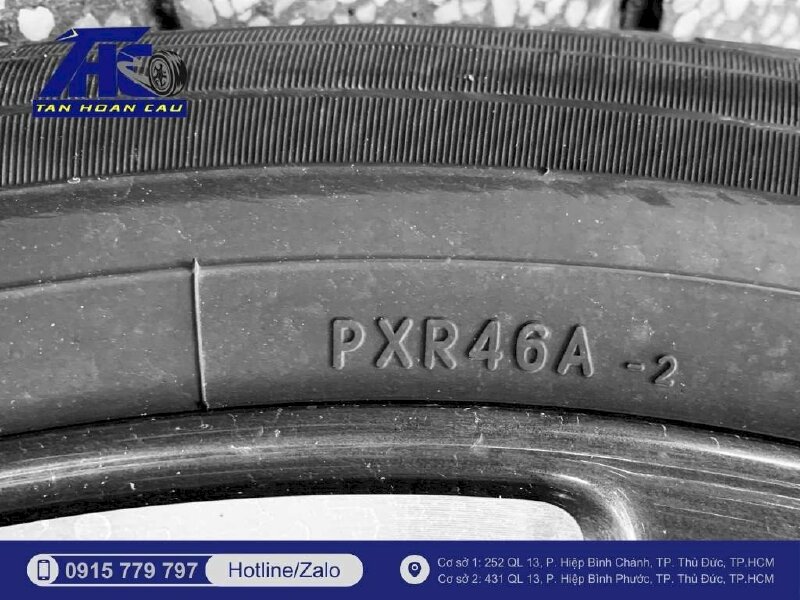 Mã gai - Ô Tô Tân Hoàn Cầu