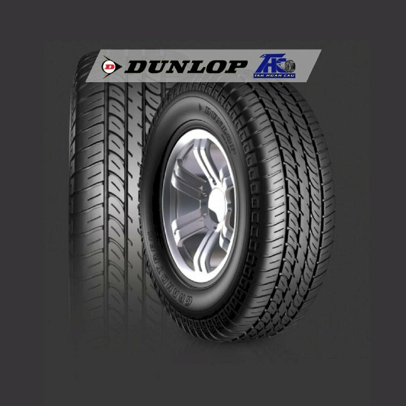 Lốp Dunlop RANDTREK TG29 - THC174